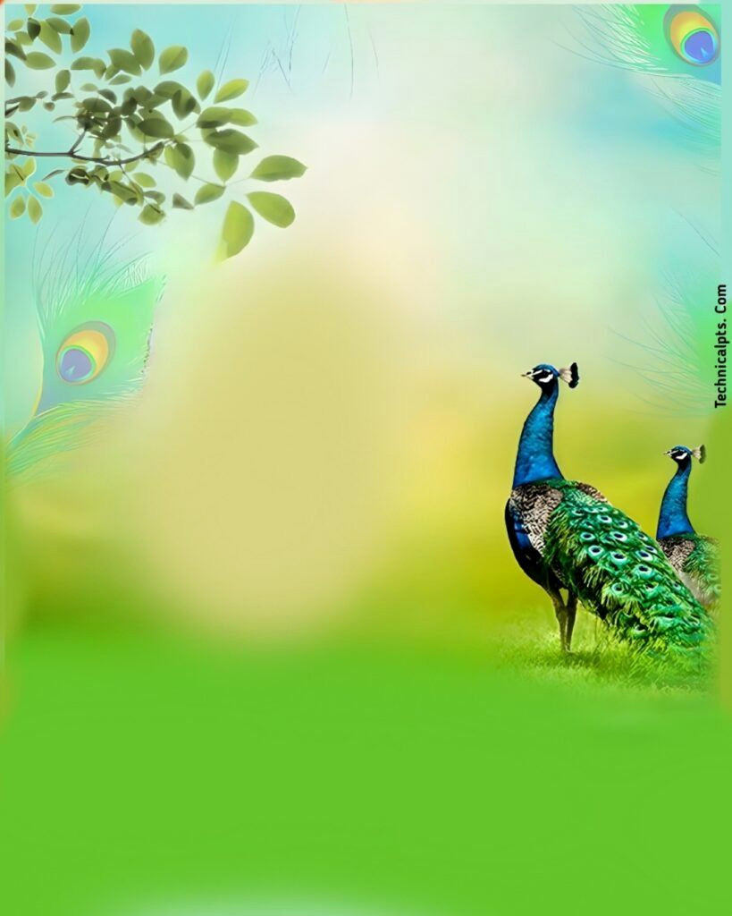 Download FREE HD God Krishna Janmashtami Posters Now! Download FREE HD God Krishna Janmashtami Posters Now!