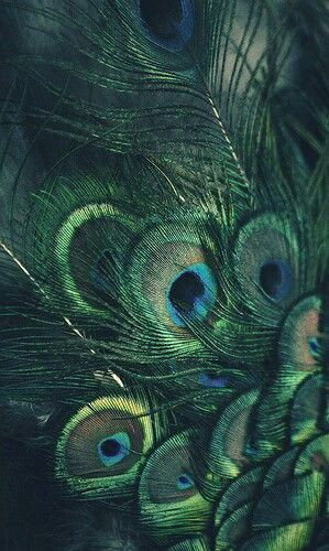 Meet Hera, Goddess of Love and Power Meet Hera, Goddess of Love and Power