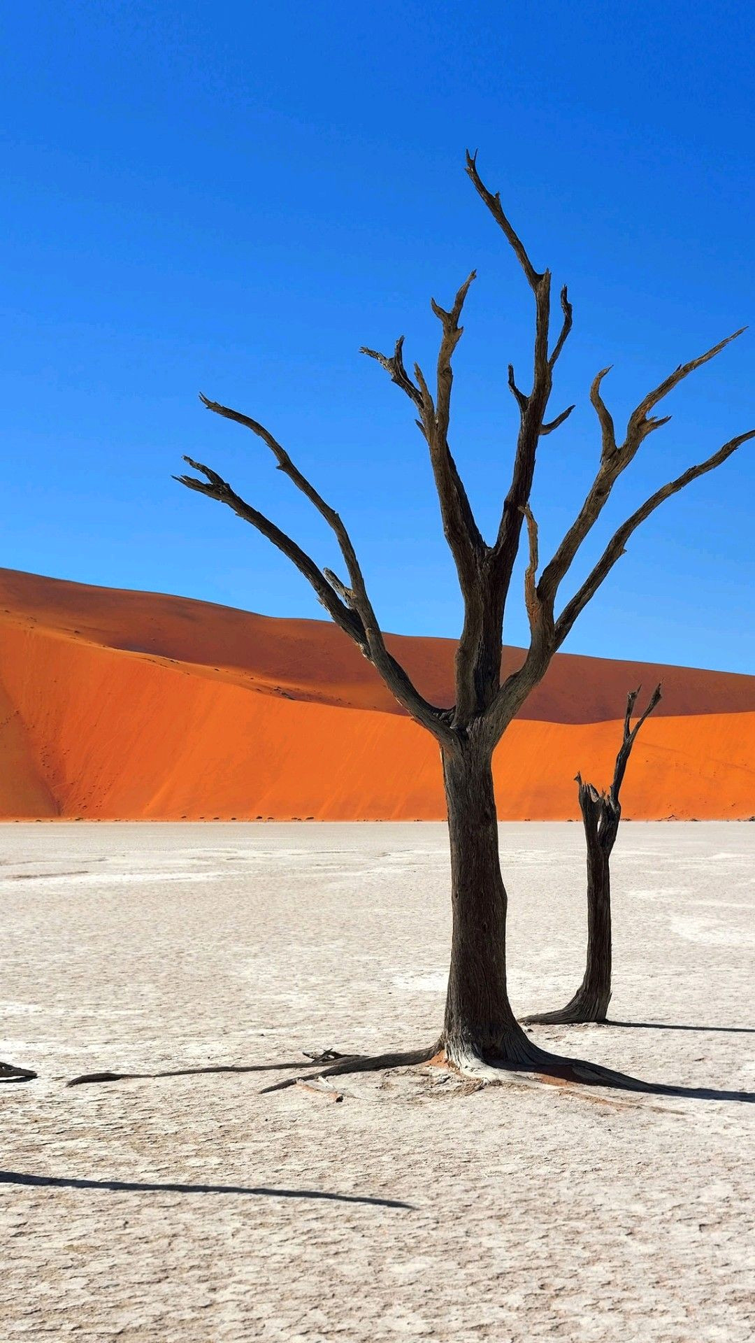 Explore Namibia’s Majestic Salt Pans Explore Namibia’s Majestic Salt Pans