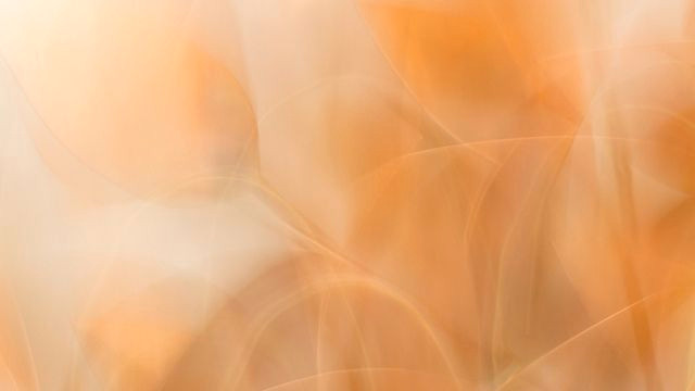 Golden Hour Magic Golden Hour Magic