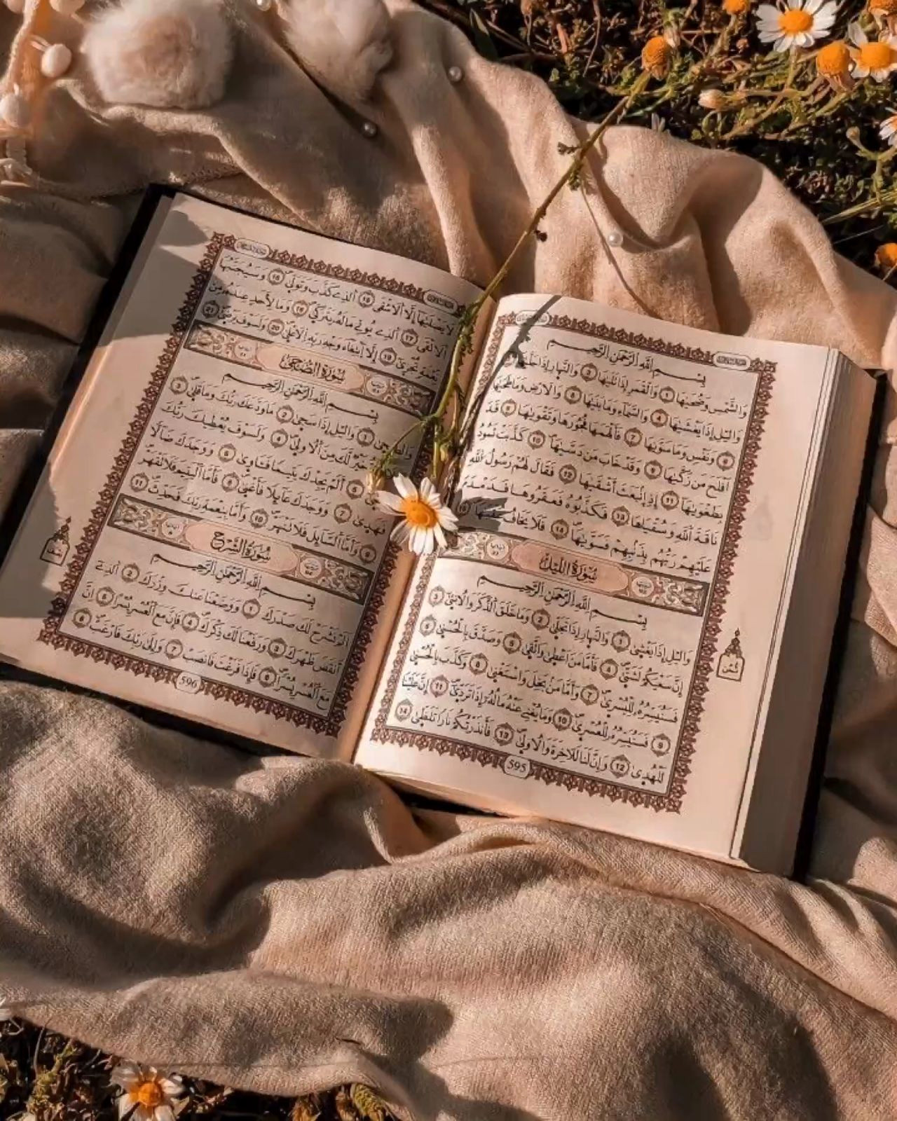 Discover the Power of the Quran