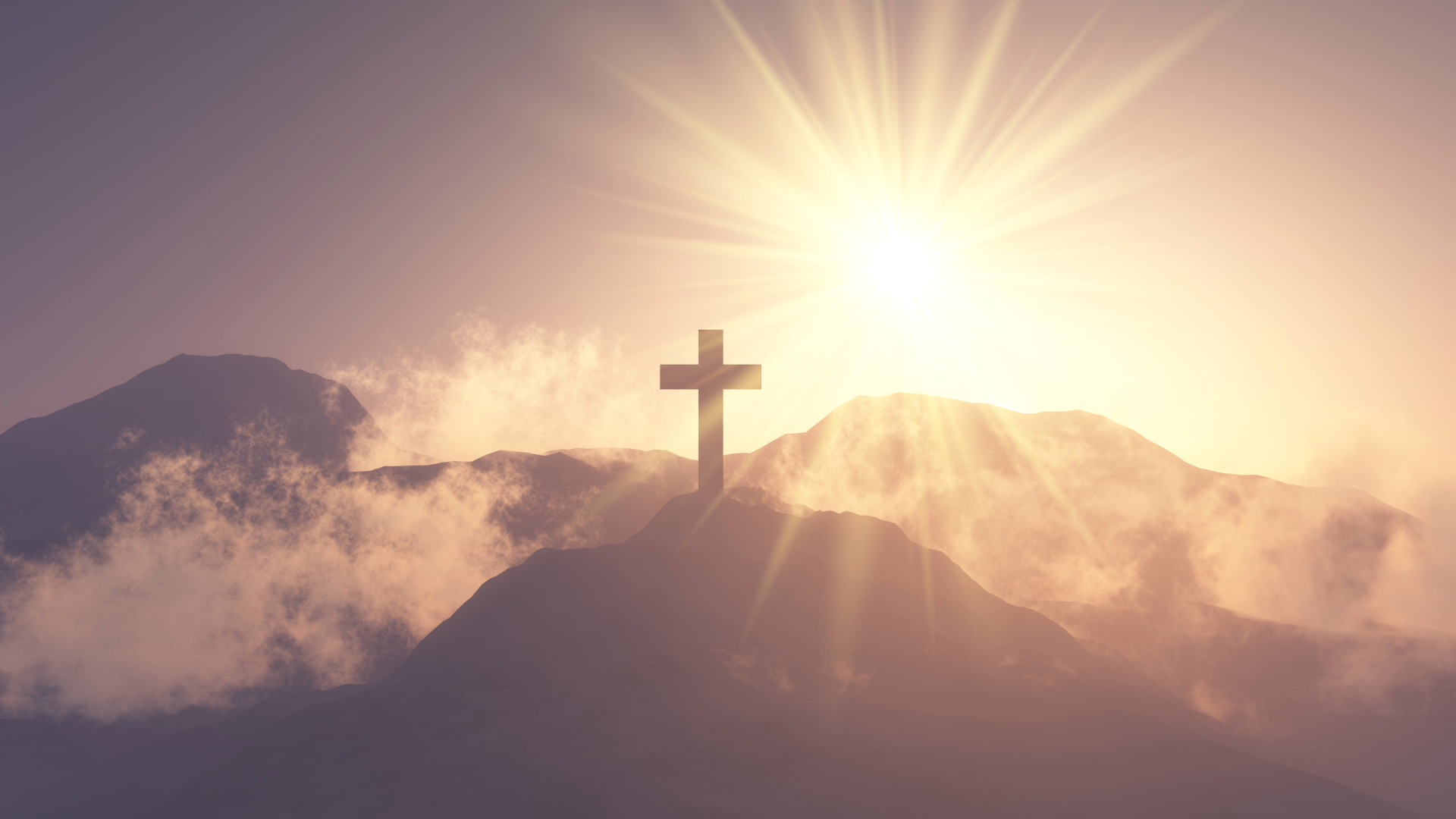 Elevate Your Space with Stunning Wallpapers